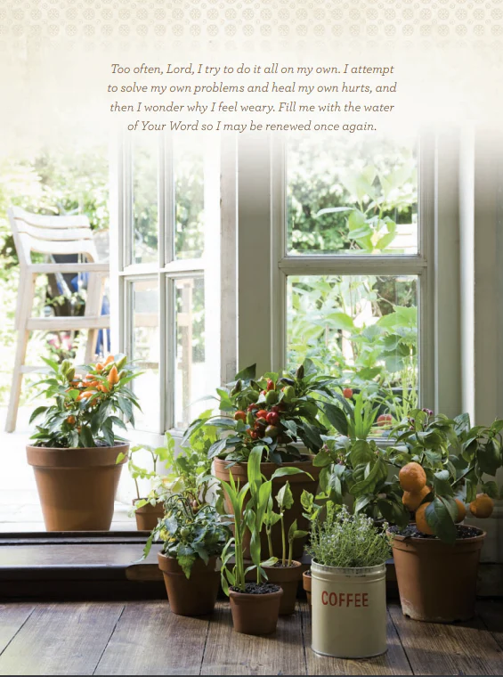 Devotions from the Front Porch: Experiencing Peaceful Moments with God (A 90-Day Devotional) - Image 6