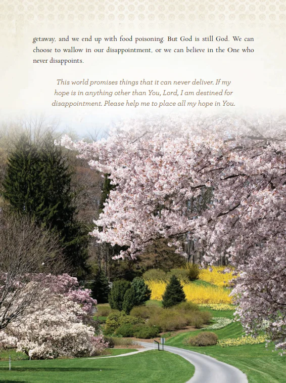 Devotions from the Front Porch: Experiencing Peaceful Moments with God (A 90-Day Devotional) - Image 7