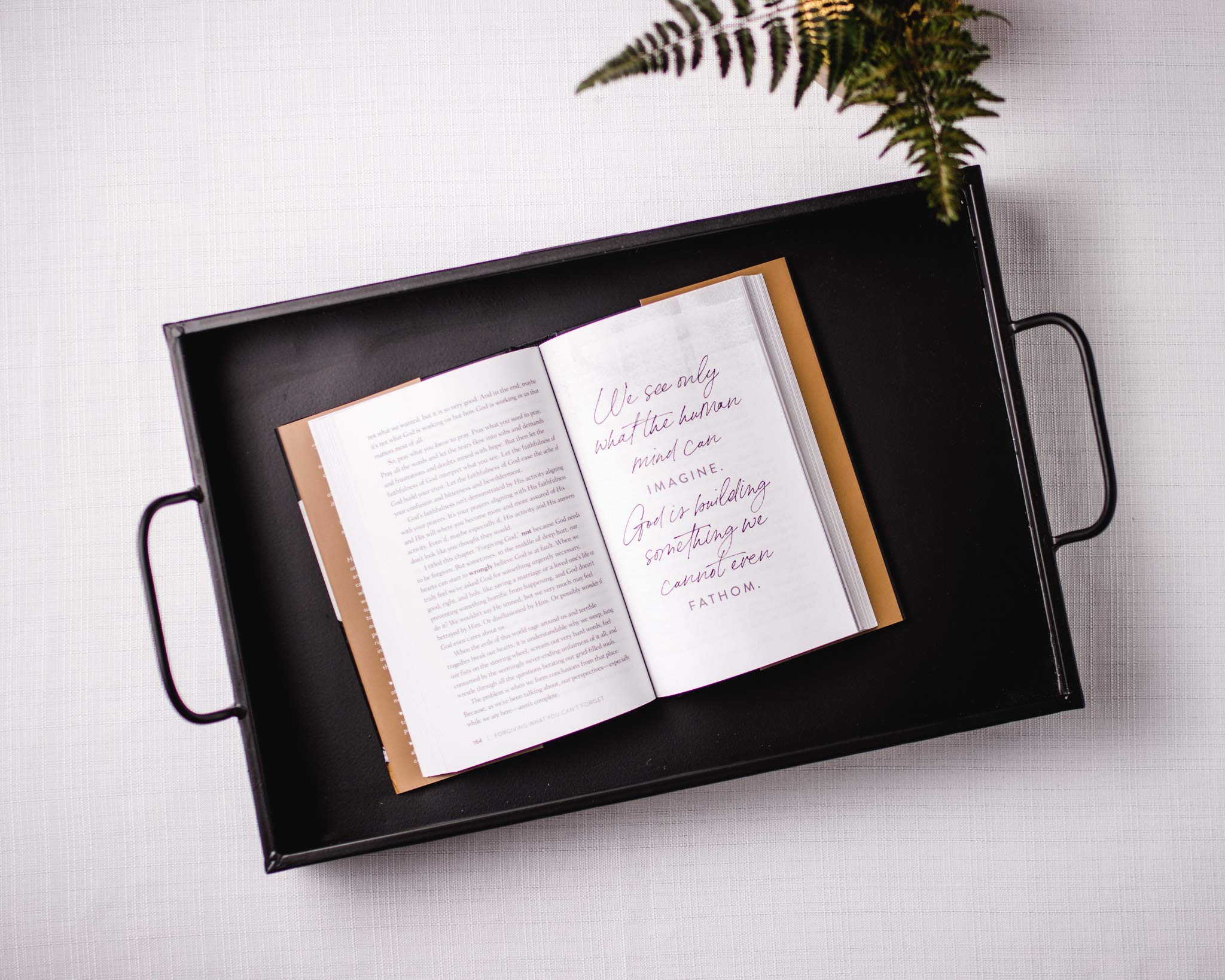 Forgiving What You Can’t Forget Study Guide + Journal + Planner Premium Bundle - Image 5