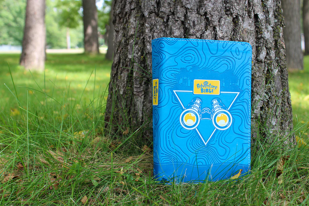 NIrV, Adventure Bible for Early Readers, Full Color Interior - Image 22