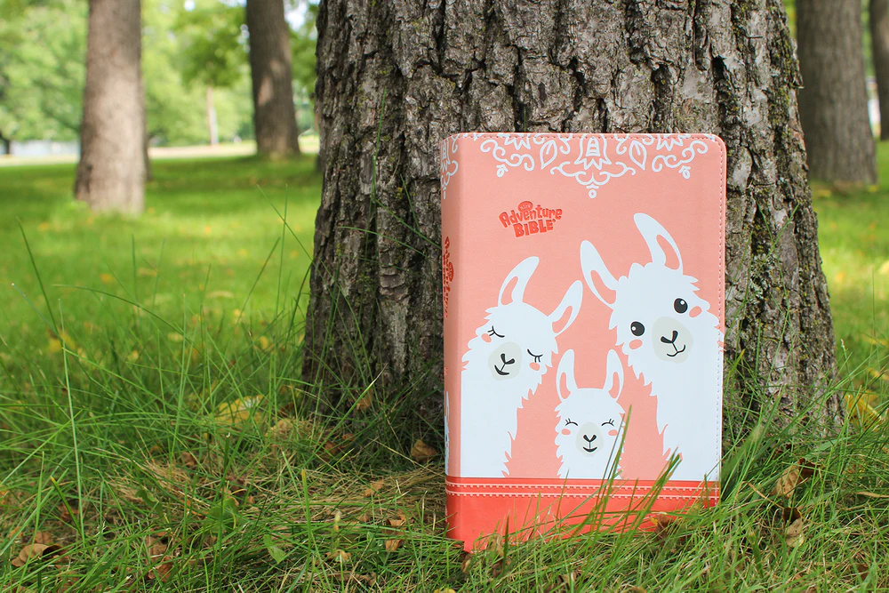 NIrV, Adventure Bible for Early Readers, Full Color Interior - Image 25