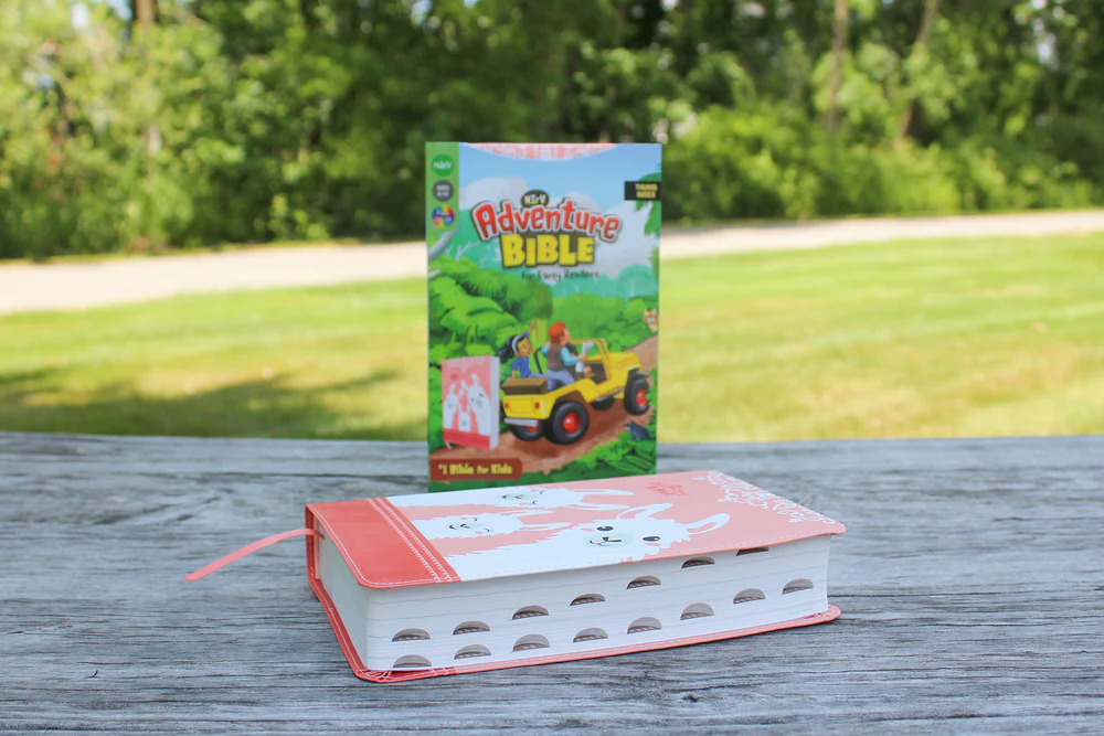 NIrV, Adventure Bible for Early Readers, Full Color Interior - Image 27