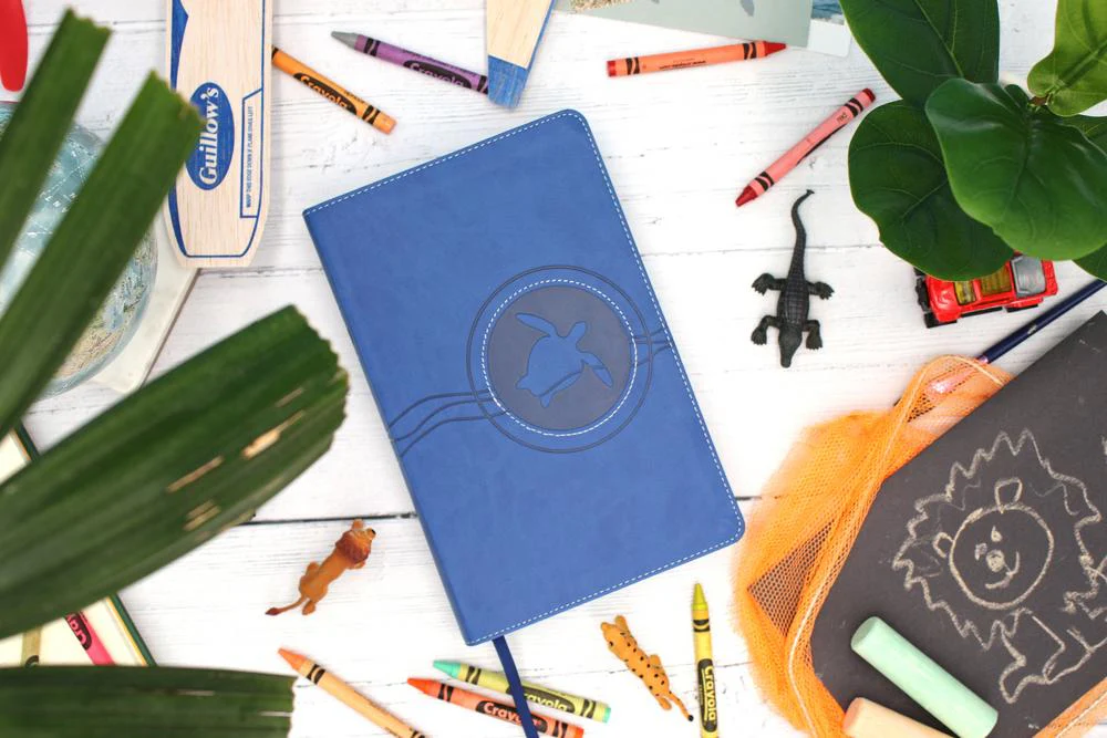 NIrV, Adventure Bible for Early Readers, Full Color Interior - Image 28