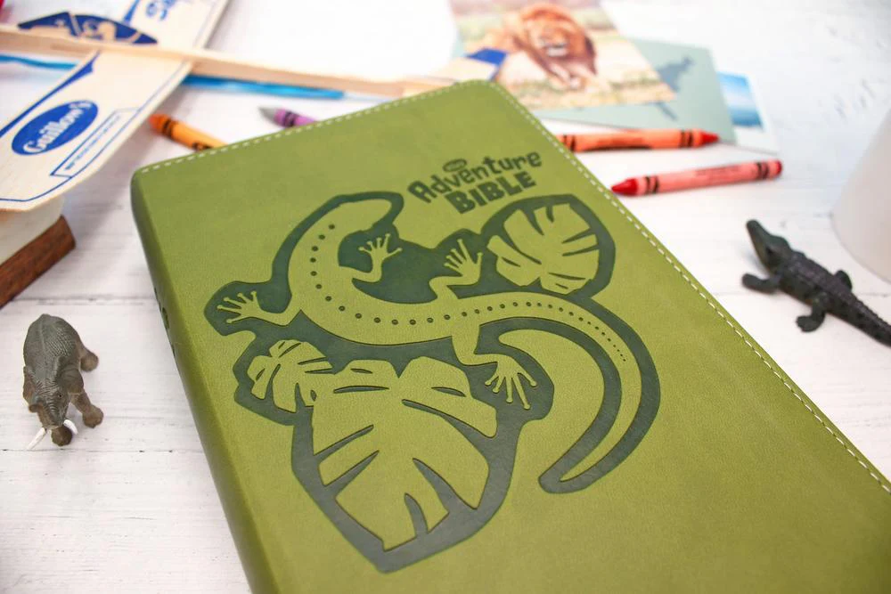 NIrV, Adventure Bible for Early Readers, Full Color Interior - Image 31