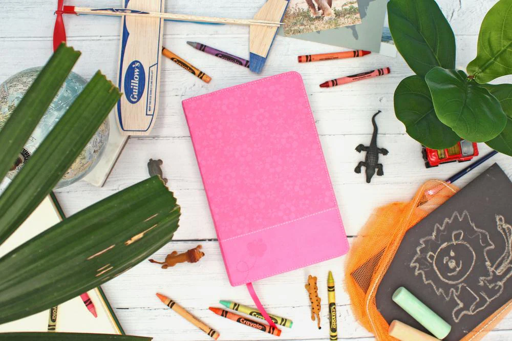 NIrV, Adventure Bible for Early Readers, Full Color Interior - Image 32