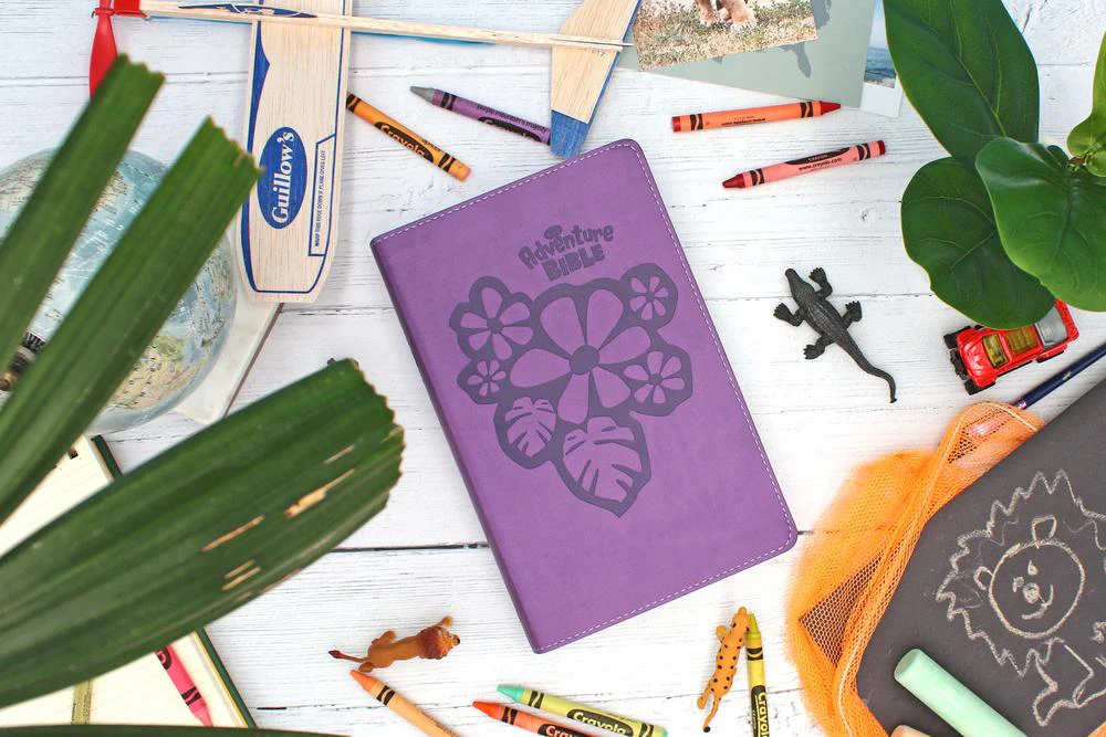 NIrV, Adventure Bible for Early Readers, Full Color Interior - Image 34