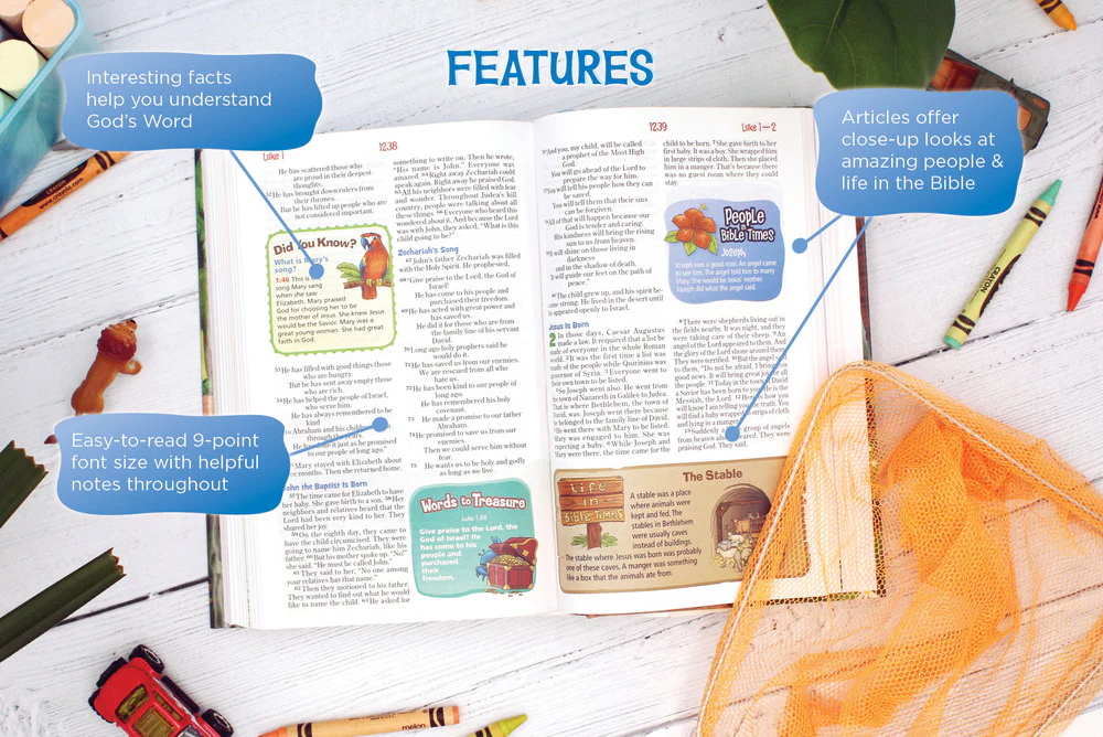 NIrV, Adventure Bible for Early Readers, Full Color Interior - Image 37