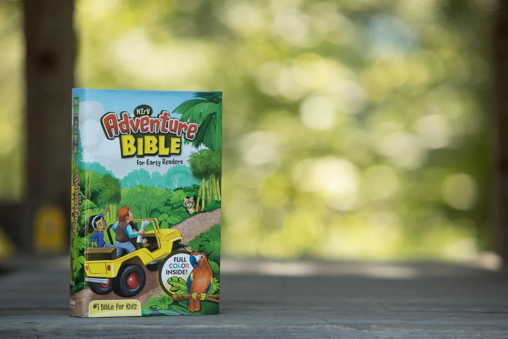NIrV, Adventure Bible for Early Readers, Full Color Interior - Image 40