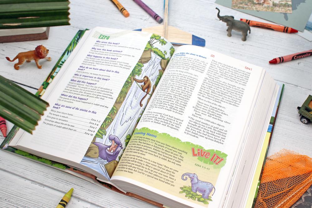 NIrV, Adventure Bible for Early Readers, Full Color Interior - Image 42