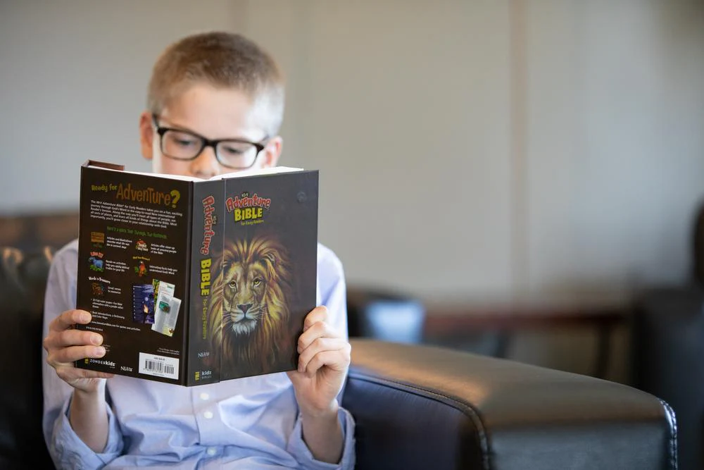 NIrV, Adventure Bible for Early Readers, Full Color Interior - Image 44