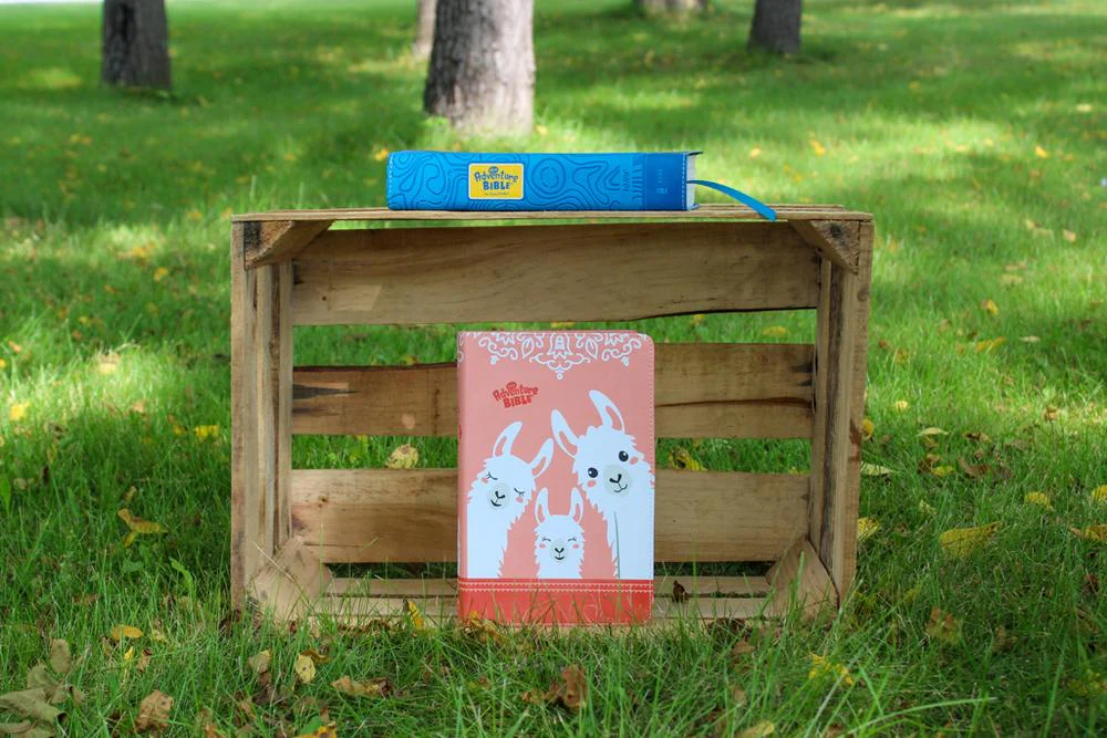 NIrV, Adventure Bible for Early Readers, Full Color Interior - Image 47