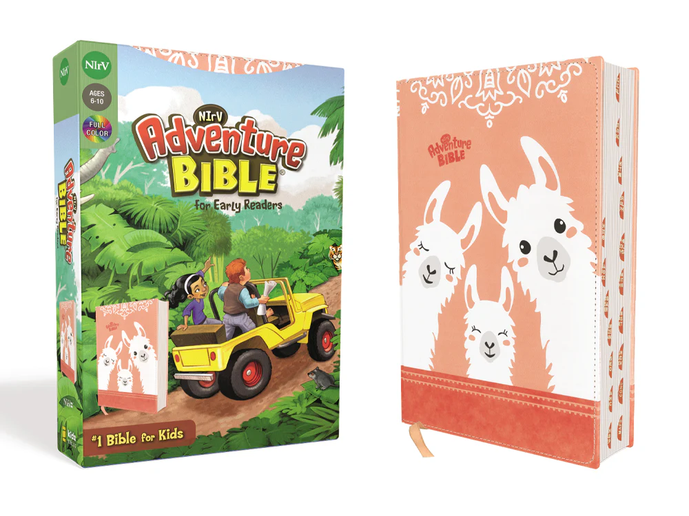NIrV, Adventure Bible for Early Readers, Full Color Interior - Image 5