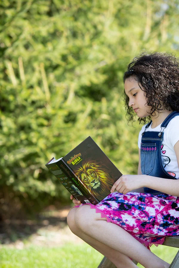 NIrV, Adventure Bible for Early Readers, Full Color Interior - Image 51