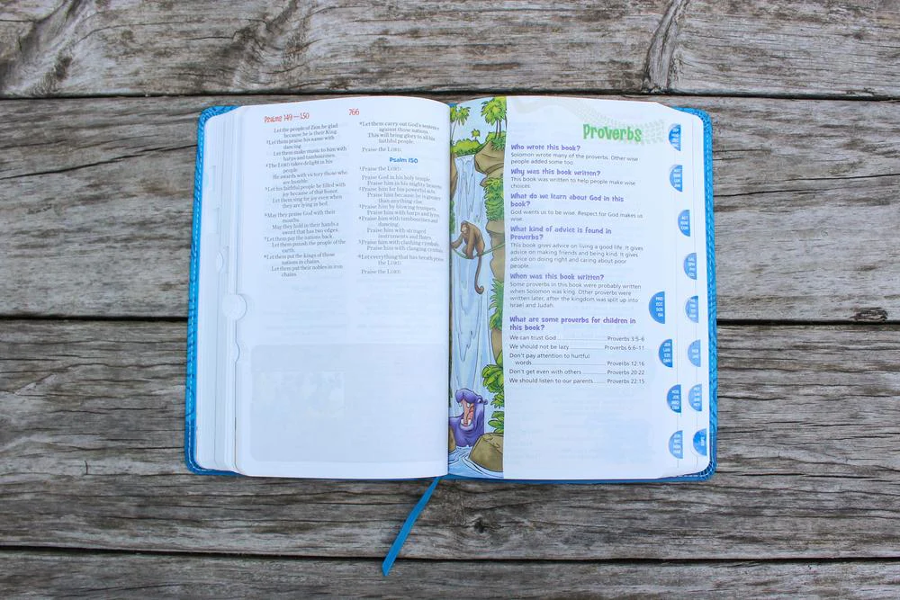 NIrV, Adventure Bible for Early Readers, Full Color Interior - Image 52