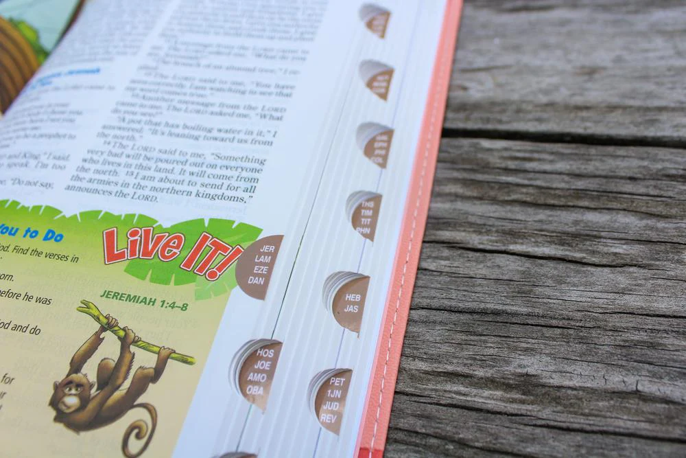 NIrV, Adventure Bible for Early Readers, Full Color Interior - Image 53