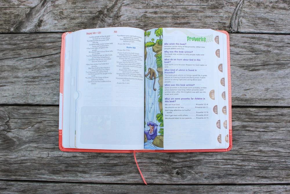 NIrV, Adventure Bible for Early Readers, Full Color Interior - Image 55
