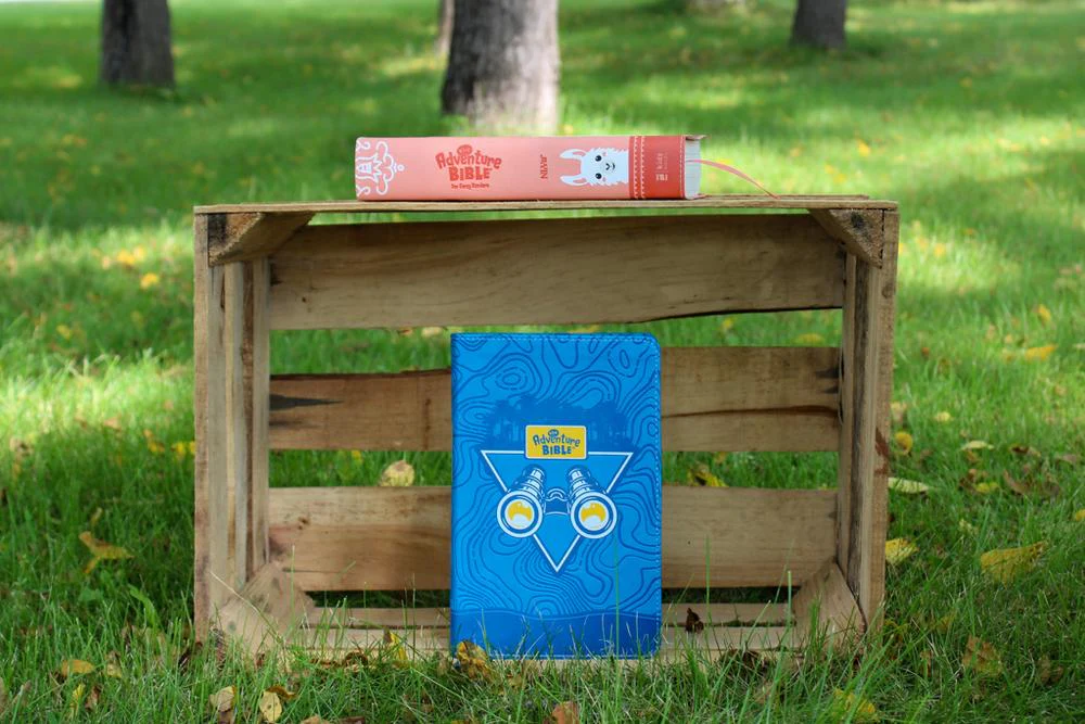 NIrV, Adventure Bible for Early Readers, Full Color Interior - Image 66