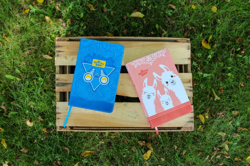 NIrV, Adventure Bible for Early Readers, Full Color Interior - Image 67