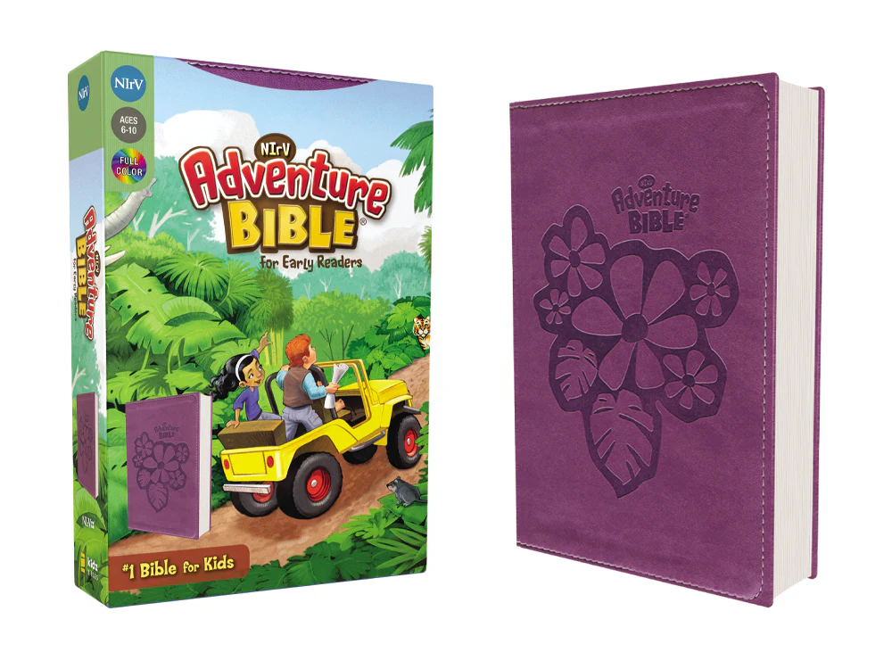 NIrV, Adventure Bible for Early Readers, Full Color Interior - Image 7