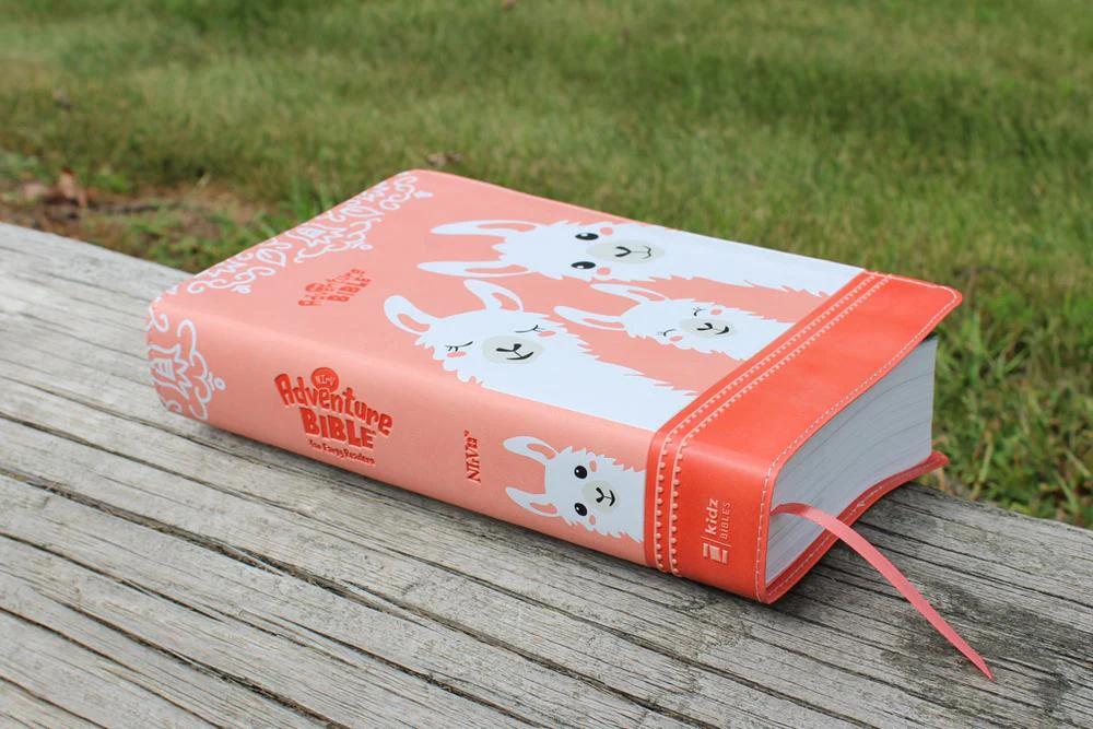 NIrV, Adventure Bible for Early Readers, Full Color Interior - Image 70