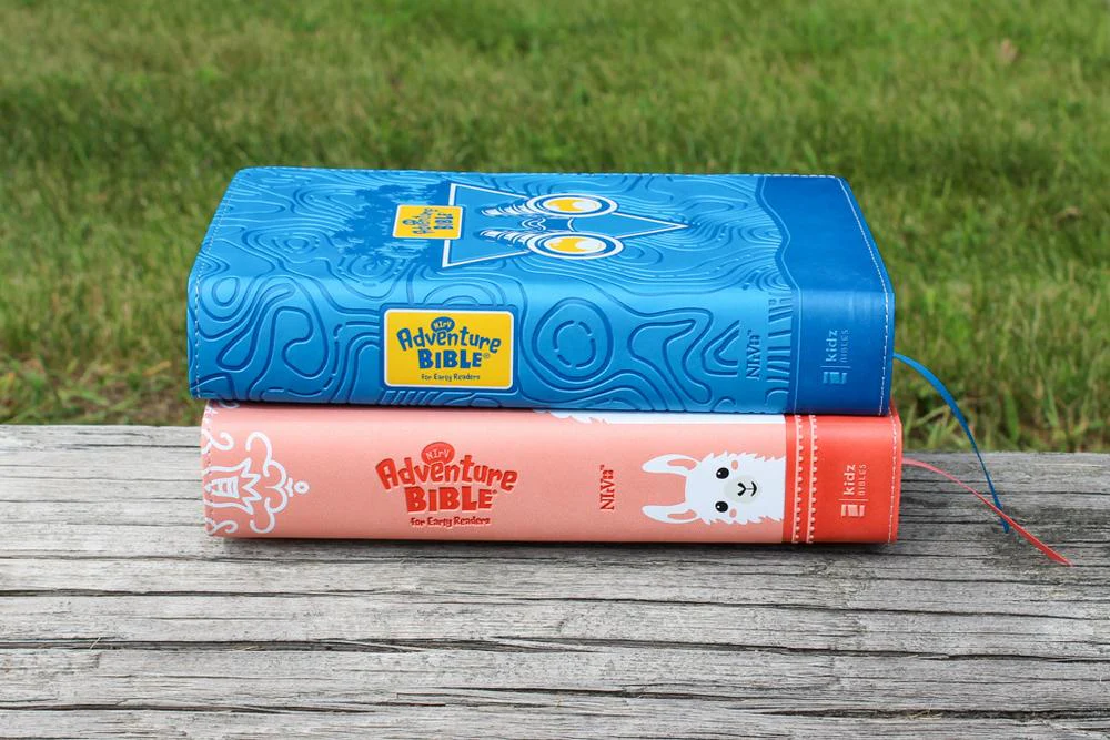 NIrV, Adventure Bible for Early Readers, Full Color Interior - Image 73