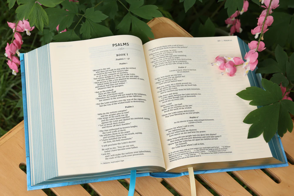 NIV, Artisan Collection Bible, Gilded Edges, Red Letter Edition, Comfort Print - Image 11