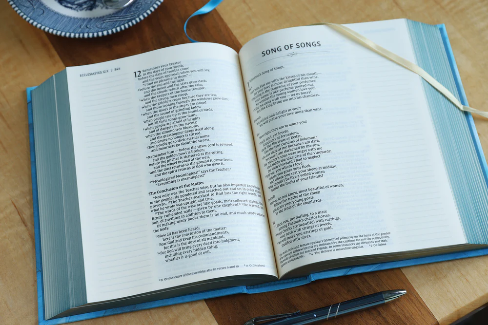 NIV, Artisan Collection Bible, Gilded Edges, Red Letter Edition, Comfort Print - Image 15