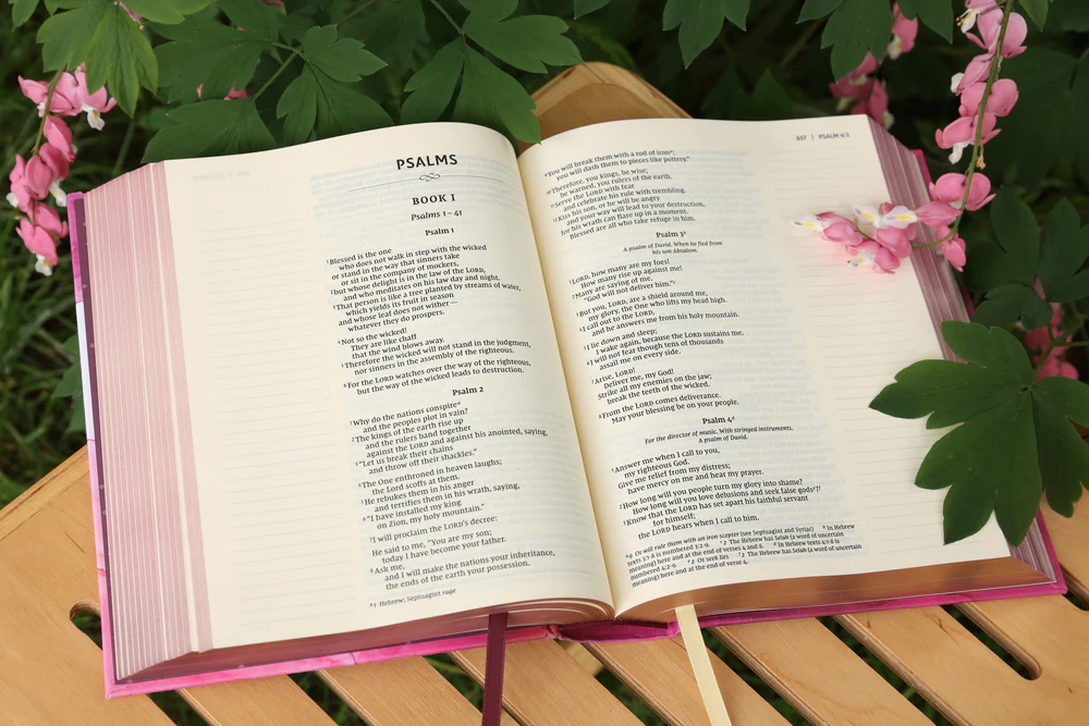 NIV, Artisan Collection Bible, Gilded Edges, Red Letter Edition, Comfort Print - Image 29