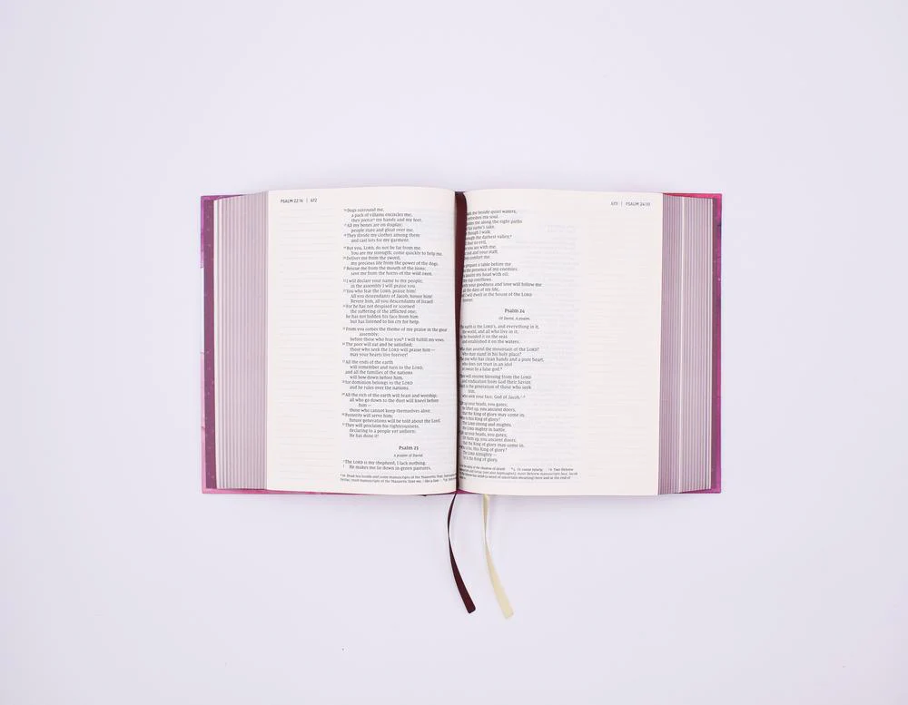 NIV, Artisan Collection Bible, Gilded Edges, Red Letter Edition, Comfort Print - Image 36