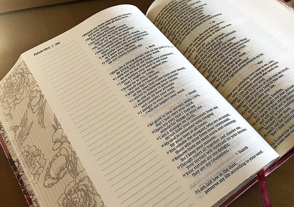 NIV, Artisan Collection Bible, Gilded Edges, Red Letter Edition, Comfort Print - Image 50