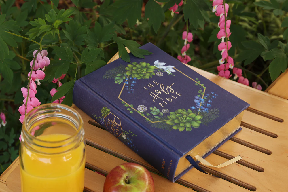 NIV, Artisan Collection Bible, Gilded Edges, Red Letter Edition, Comfort Print - Image 56