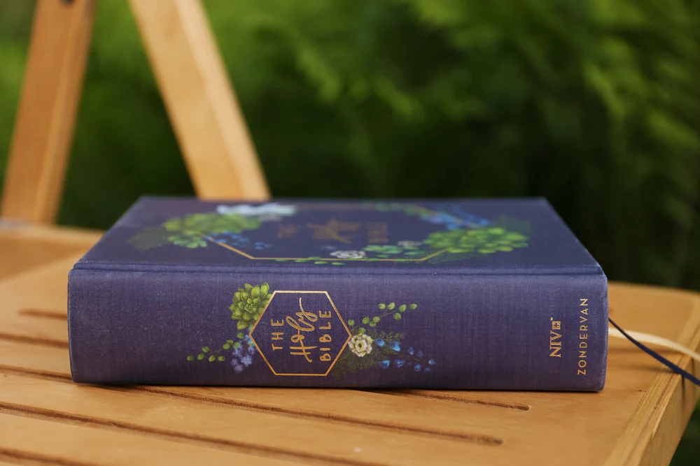 NIV, Artisan Collection Bible, Gilded Edges, Red Letter Edition, Comfort Print - Image 59