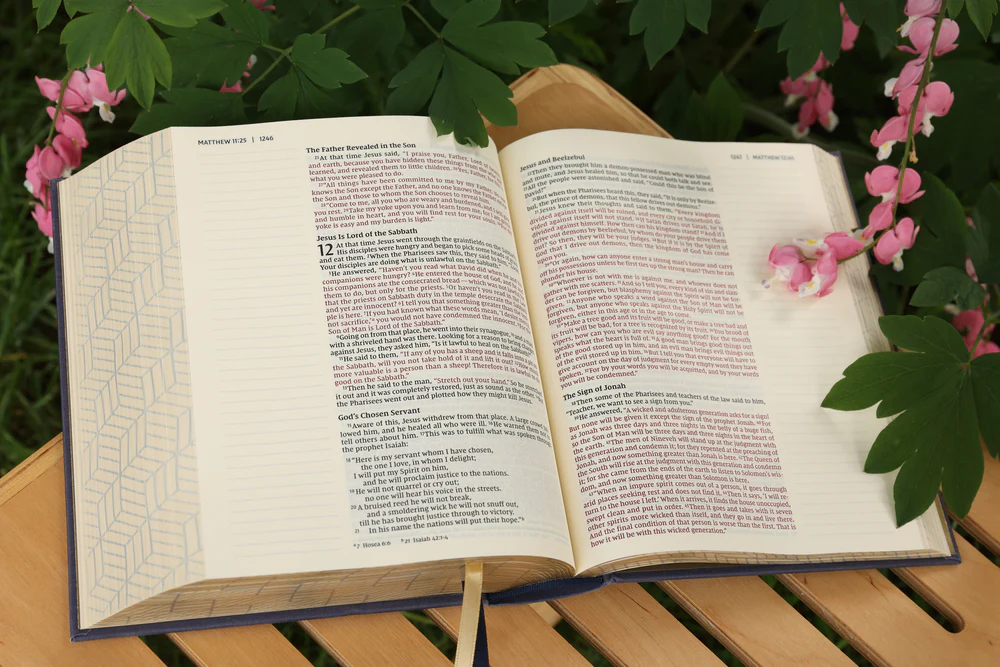 NIV, Artisan Collection Bible, Gilded Edges, Red Letter Edition, Comfort Print - Image 61