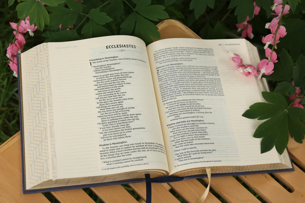 NIV, Artisan Collection Bible, Gilded Edges, Red Letter Edition, Comfort Print - Image 62