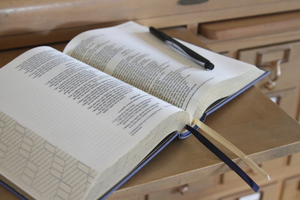 NIV, Artisan Collection Bible, Gilded Edges, Red Letter Edition, Comfort Print - Image 71