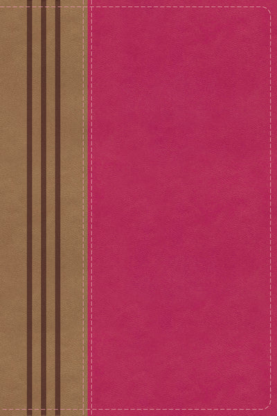 NIV, Biblical Theology Study Bible, Comfort Print: Follow God’s Redemptive Plan as It Unfolds throughout Scripture - Image 13