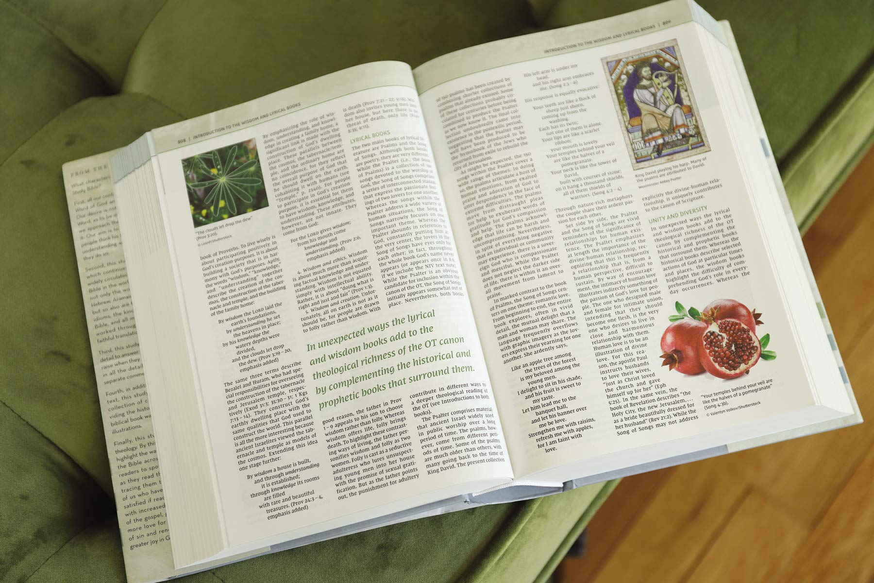 NIV, Biblical Theology Study Bible, Comfort Print: Follow God’s Redemptive Plan as It Unfolds throughout Scripture - Image 19