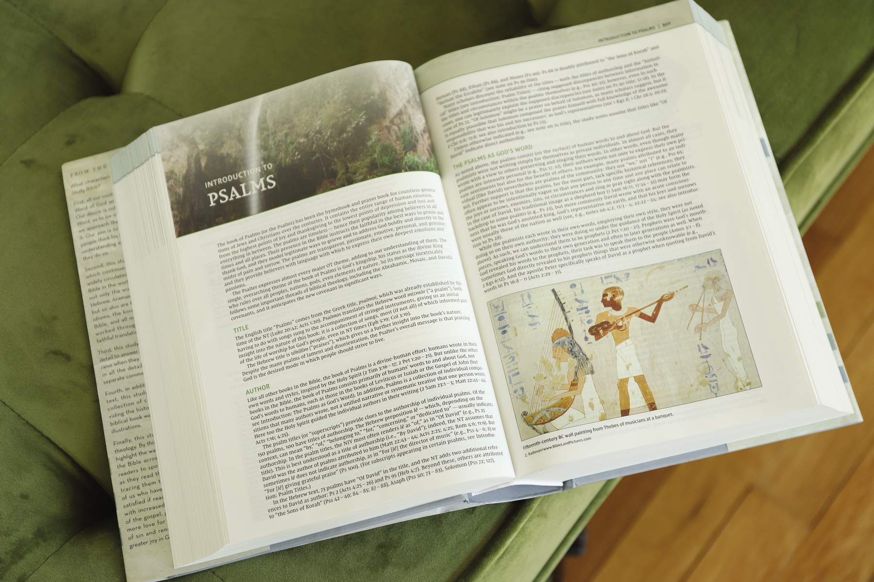 NIV, Biblical Theology Study Bible, Comfort Print: Follow God’s Redemptive Plan as It Unfolds throughout Scripture - Image 20