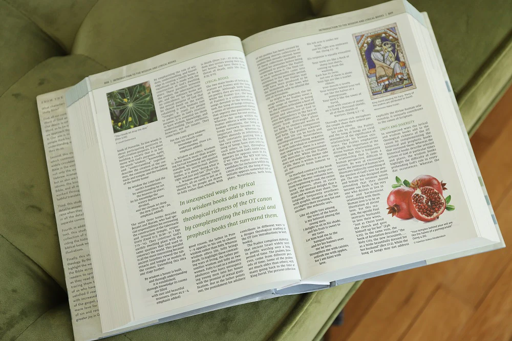 NIV, Biblical Theology Study Bible, Comfort Print: Follow God’s Redemptive Plan as It Unfolds throughout Scripture - Image 21