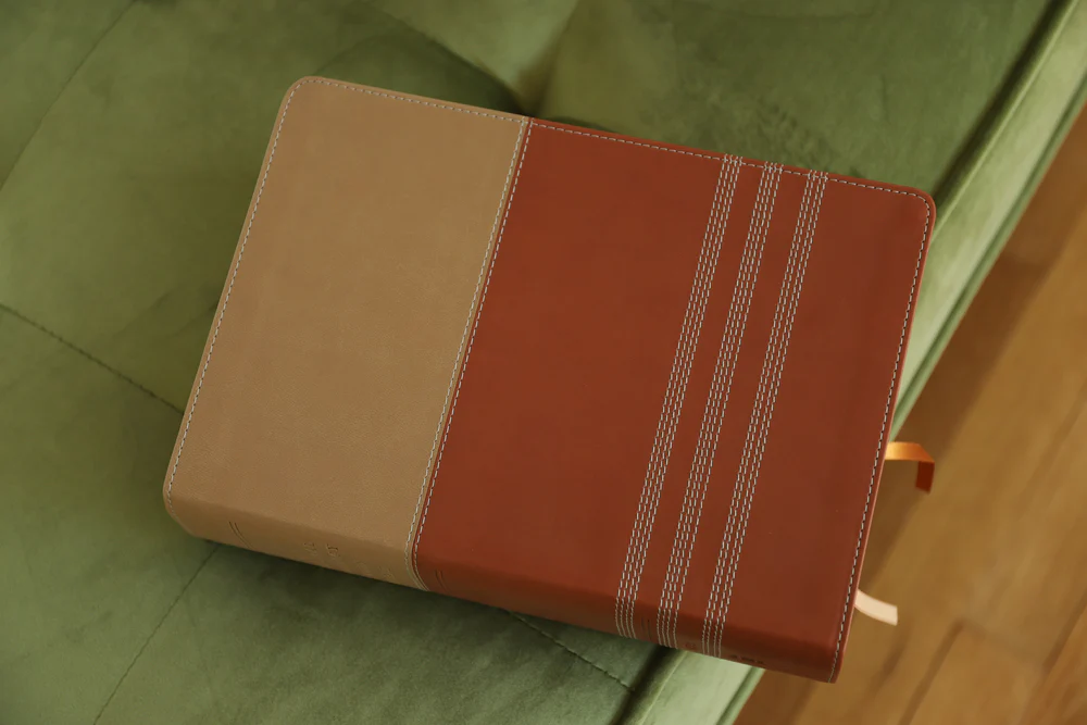 NIV, Biblical Theology Study Bible, Comfort Print: Follow God’s Redemptive Plan as It Unfolds throughout Scripture - Image 22