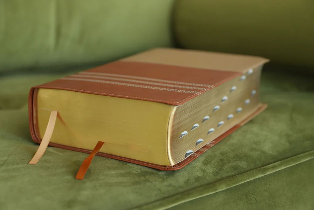 NIV, Biblical Theology Study Bible, Comfort Print: Follow God’s Redemptive Plan as It Unfolds throughout Scripture - Image 24