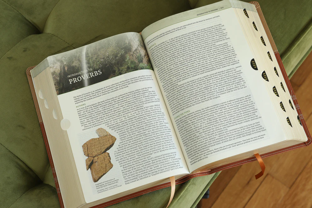 NIV, Biblical Theology Study Bible, Comfort Print: Follow God’s Redemptive Plan as It Unfolds throughout Scripture - Image 25