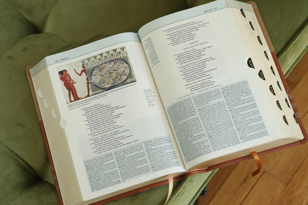 NIV, Biblical Theology Study Bible, Comfort Print: Follow God’s Redemptive Plan as It Unfolds throughout Scripture - Image 26