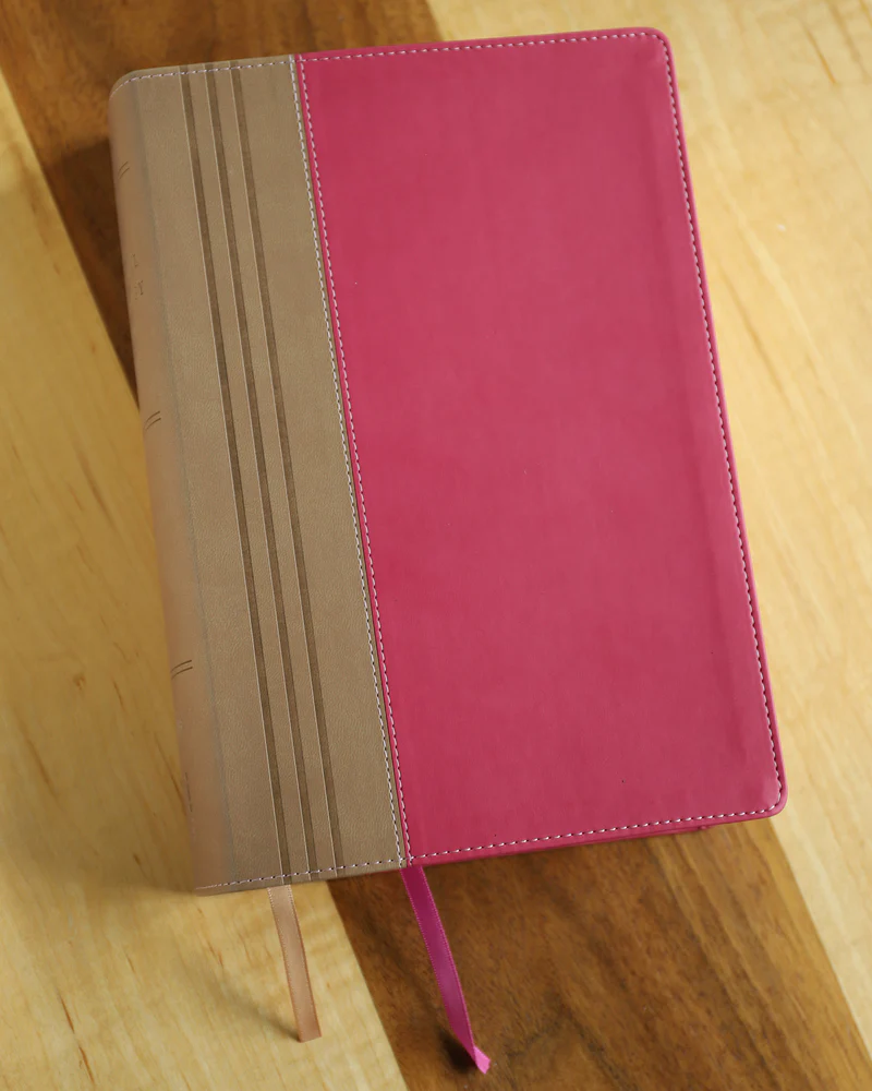 NIV, Biblical Theology Study Bible, Comfort Print: Follow God’s Redemptive Plan as It Unfolds throughout Scripture - Image 30