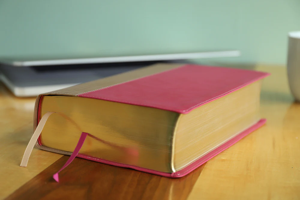 NIV, Biblical Theology Study Bible, Comfort Print: Follow God’s Redemptive Plan as It Unfolds throughout Scripture - Image 31