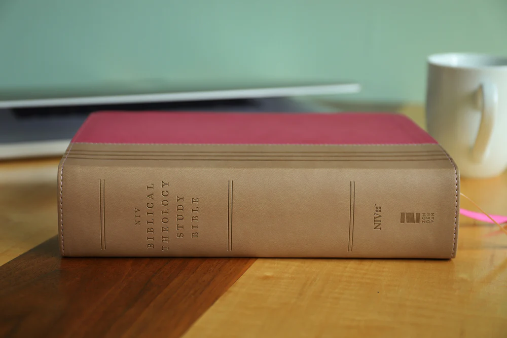 NIV, Biblical Theology Study Bible, Comfort Print: Follow God’s Redemptive Plan as It Unfolds throughout Scripture - Image 32