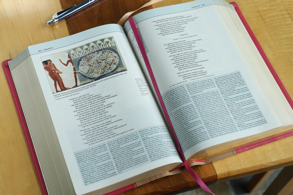 NIV, Biblical Theology Study Bible, Comfort Print: Follow God’s Redemptive Plan as It Unfolds throughout Scripture - Image 33