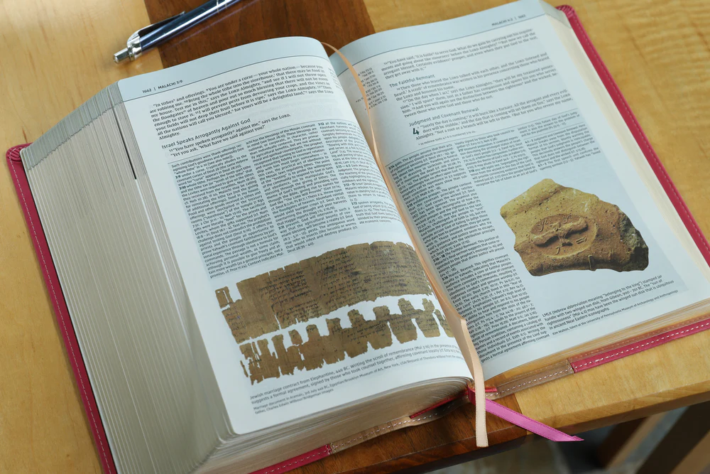 NIV, Biblical Theology Study Bible, Comfort Print: Follow God’s Redemptive Plan as It Unfolds throughout Scripture - Image 36