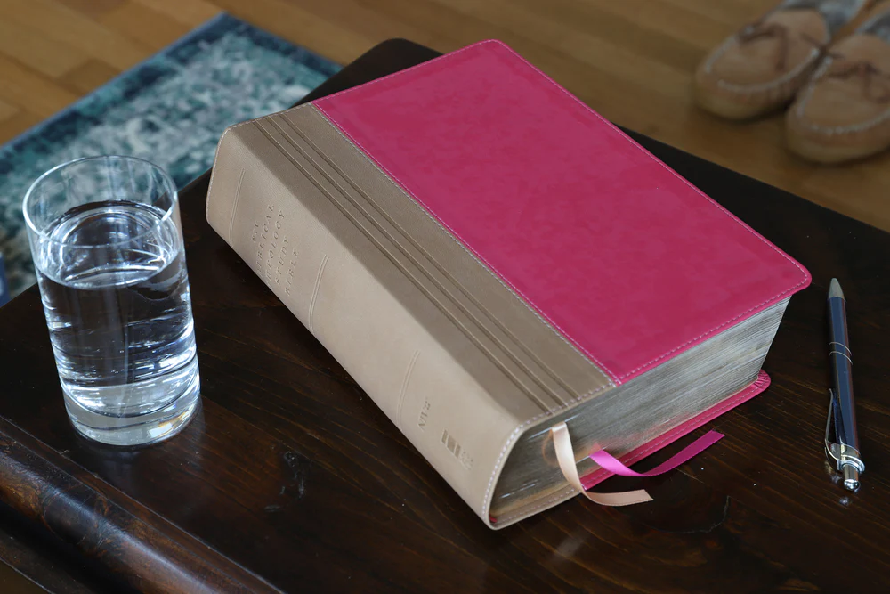 NIV, Biblical Theology Study Bible, Comfort Print: Follow God’s Redemptive Plan as It Unfolds throughout Scripture - Image 37