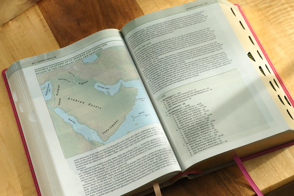 NIV, Biblical Theology Study Bible, Comfort Print: Follow God’s Redemptive Plan as It Unfolds throughout Scripture - Image 40